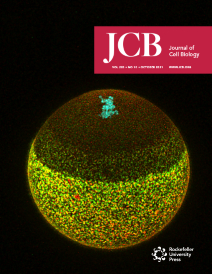 m_jcb_220_10.cover_s.png